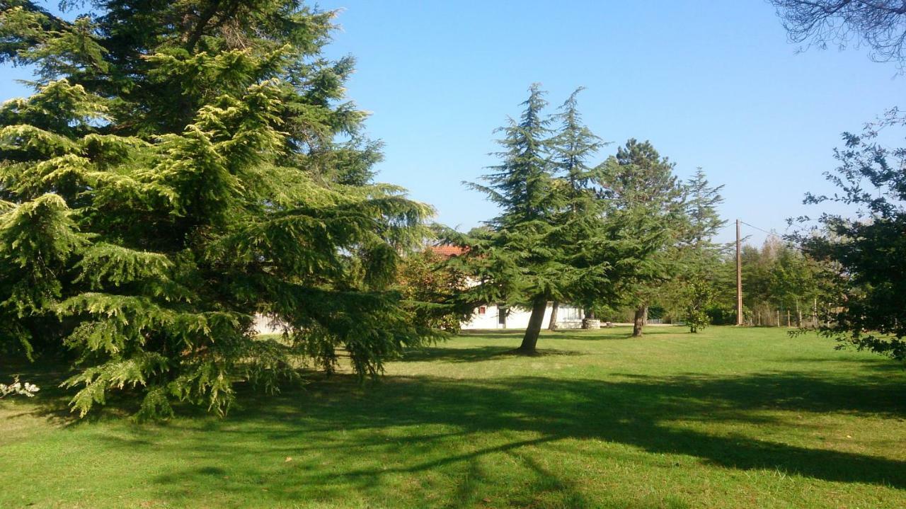 Le Pontet Bed and Breakfast Miramont-de-Guyenne Eksteriør billede
